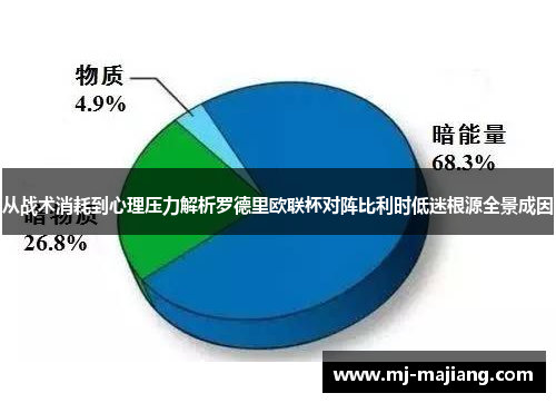 从战术消耗到心理压力解析罗德里欧联杯对阵比利时低迷根源全景成因