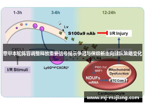 意甲本轮阵容调整释放重要信号揭示争冠与保级新走向球队策略变化 意甲本轮阵容调整释放重要信号揭示争冠与保级新走向球队策略变化