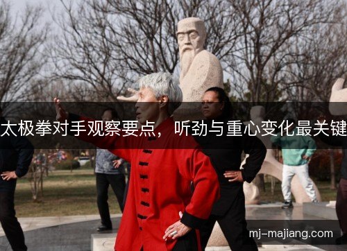 太极拳对手观察要点，听劲与重心变化最关键